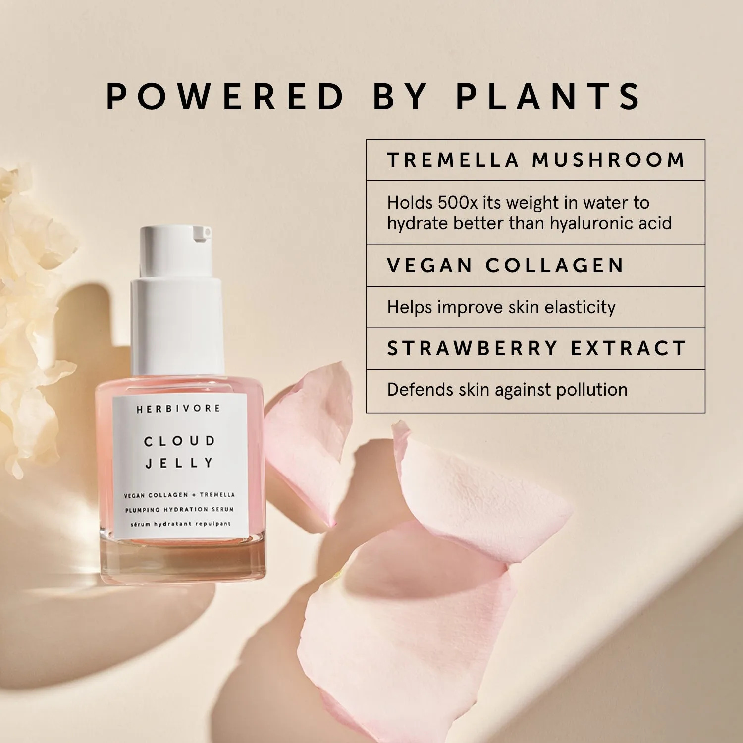 CLOUD JELLY Pink Plumping Hydration Serum