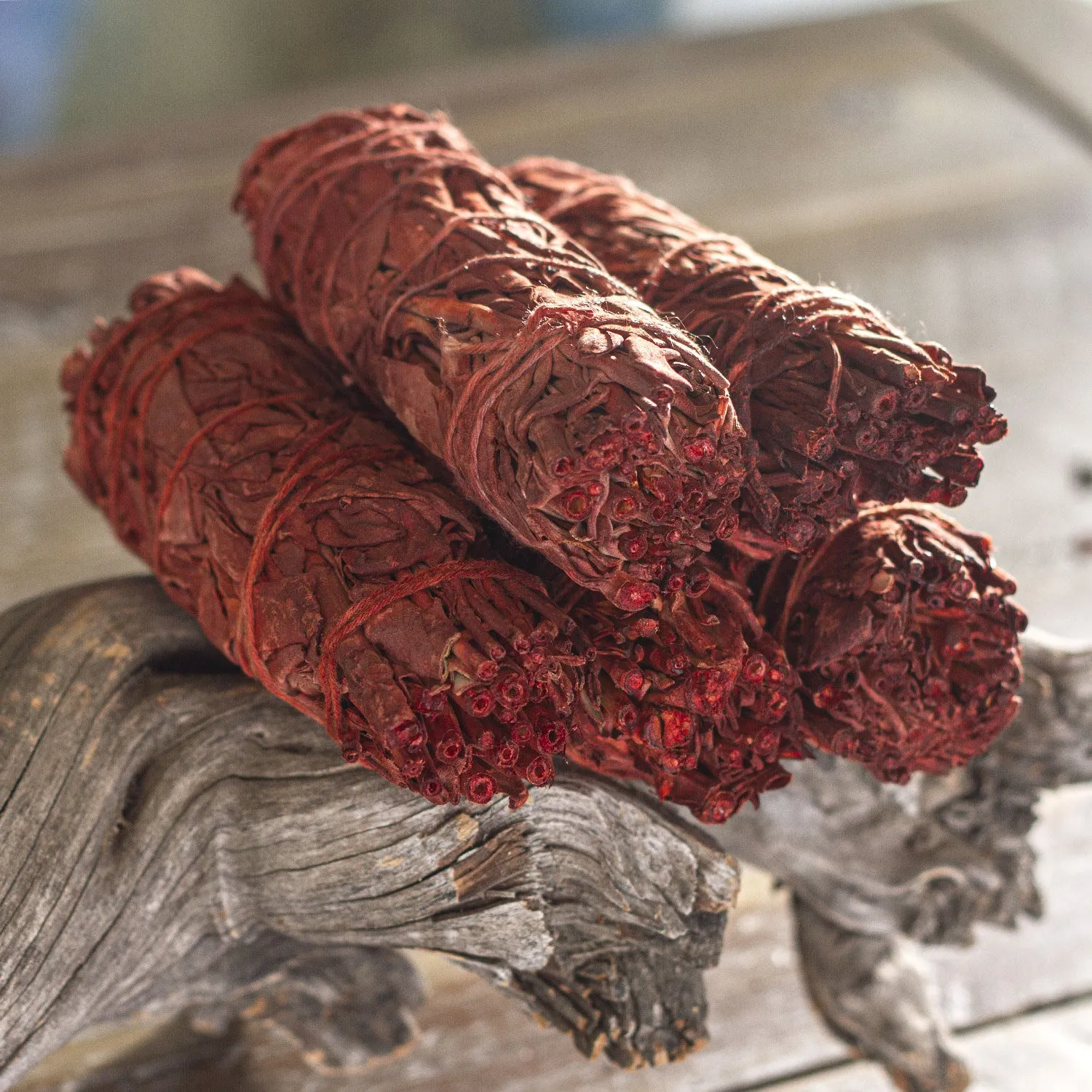 Dragon's Blood White Sage Sticks