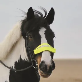 Equisafety Nose/Brow/Rein Band