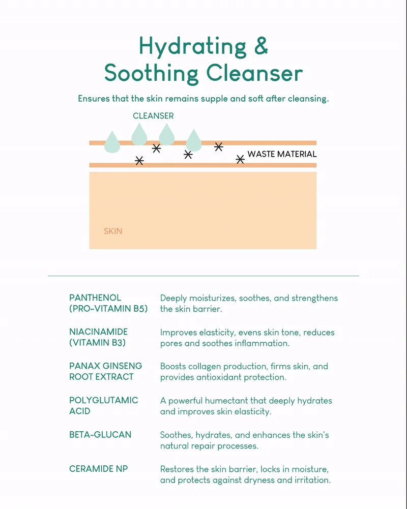 Jung Beauty Purifying Micellar Cleansing Water with Panthenol   Probiotics