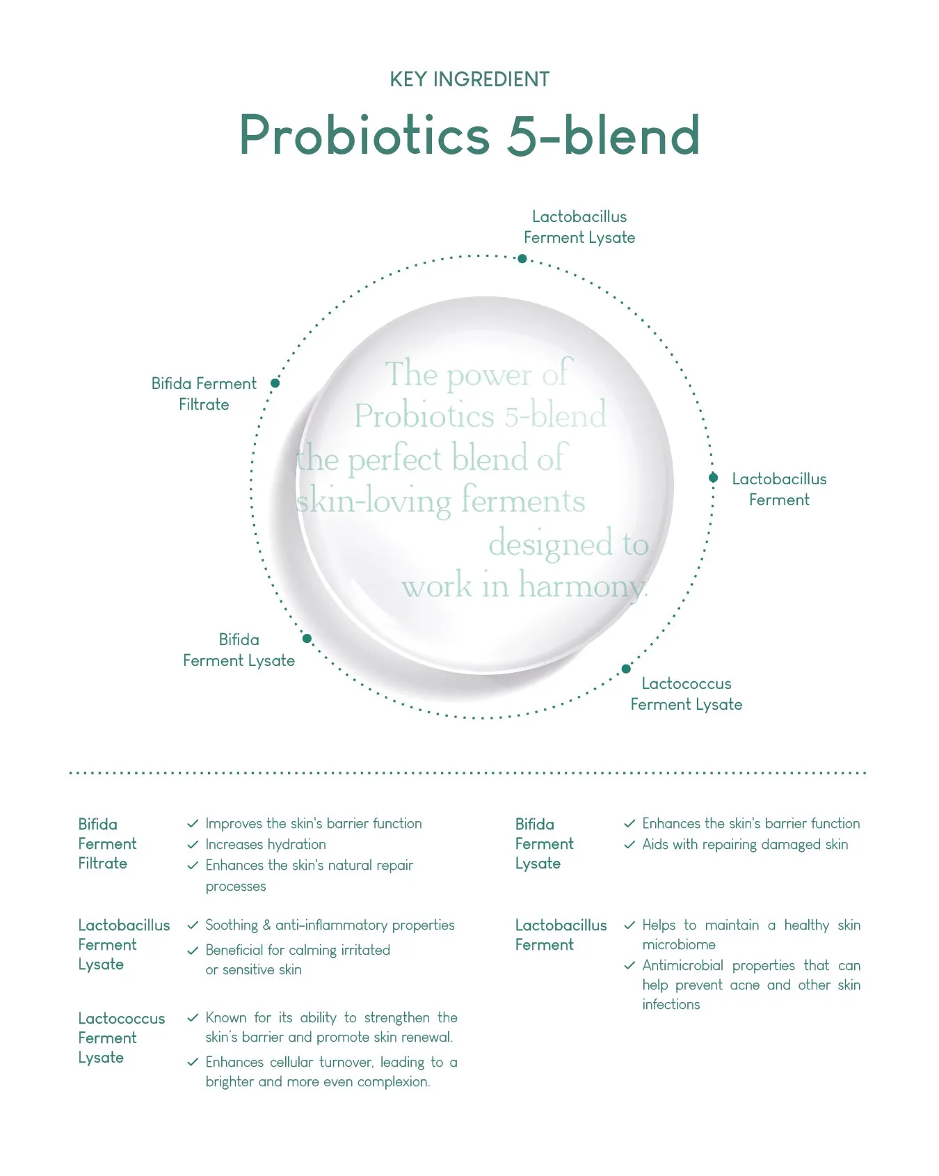 Jung Beauty Purifying Micellar Cleansing Water with Panthenol   Probiotics