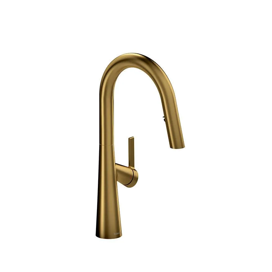 Ludik Single Lever Kitchen Mixer with Pull Down Spray
